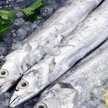 印尼凍帶魚進口報關(guān)